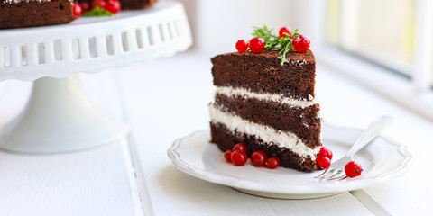 christmas cake chocolate with white butter cream fruit pudding red berries currant serving size New Year's natural product portion top view place for text copy space