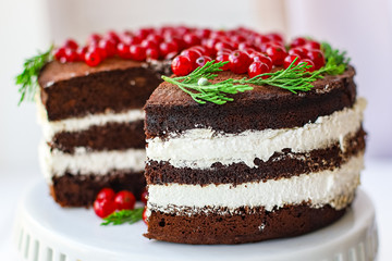 christmas cake chocolate with white butter cream fruit pudding red berries currant serving size New Year's natural product portion top view place for text copy space