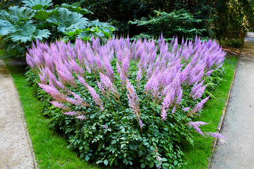Botanischer Garten in G&uuml;tersloh im August