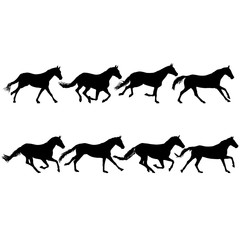 Set silhouette of black mustang horse on white background
