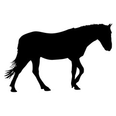Fototapeta na wymiar silhouette of black mustang horse vector illustration