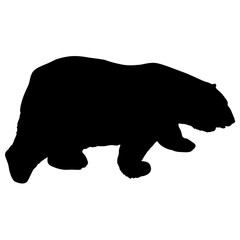 Silhouette polar bear on a white background