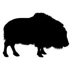 Fototapeta na wymiar Silhouette of the bison on a white background.