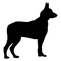 Shepherd dog black silhouette on white background