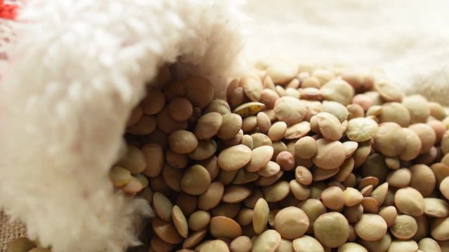 Lenticchie ft9112_0157 Linsen Lentils