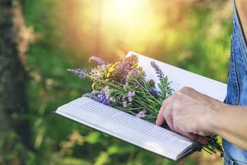 Female hands holding an open book with a bouquet of wild flowers on a sunny forest background