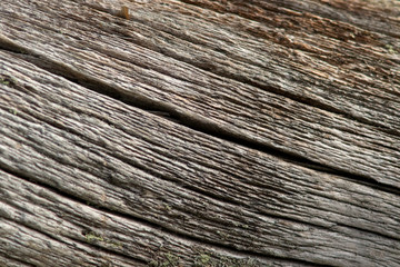 Abstract background of aged rough wood