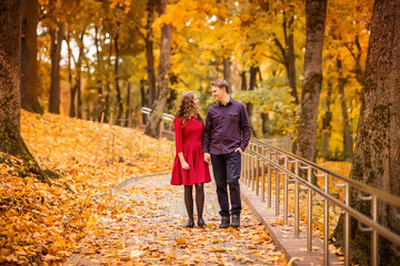 young couple walks in the autumn Park. Orange and yellow leaves around