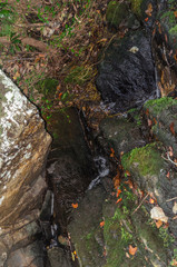 stream flowing through the rocks along high falls trail in the talladega national forest, alabama, usa
