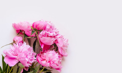 Top view of pink peony flowers with copy space. Floral background.