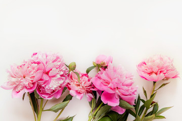 Top view of pink peony flowers with copy space. Floral background.