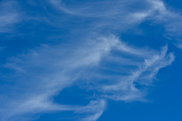 High acrylic cirrus clouds on a blue sky