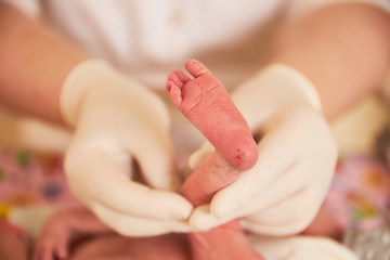 Doctor in intensive care room holds new born baby by leg and inspect