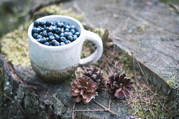 bilberry in cup in forest. Fresh bilberry in craft hand made cup on the stump in forest. A cup of bilberry