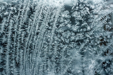 Frost on the window