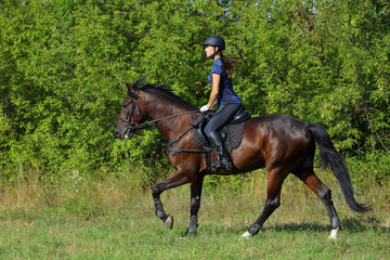 Beauty equestrian girl riding horse in the forest