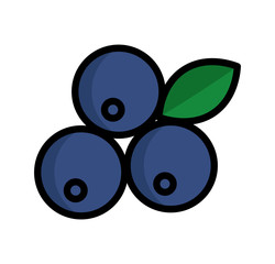 Blueberry icon, colored fruit isolated, exotic delicious fruit, vector