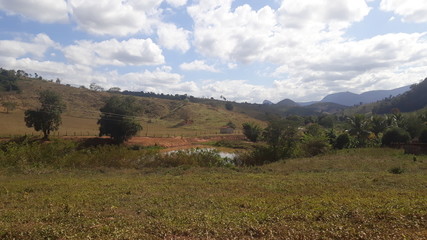 Obraz premium natureza