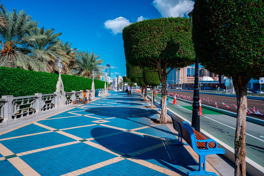 blue boulevard trimmed trees