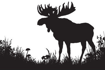 Deer in a meadow silhouettes. Wall art black and white