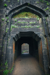 Fort Door