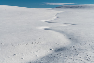 Winter Landscape in the Palouse, WA