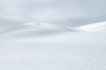 Winter Landscape in the Palouse, WA