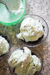Mint and chocolate ice with fresh blueberries 