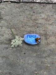 Peace rock & a butterfly