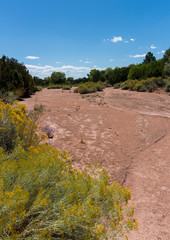 Arroyo Dry River Bed with Yellow Blooming Chamisa Rabbitbrush