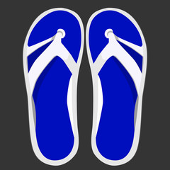 white and blue slipper illustration