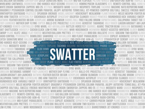 swatter