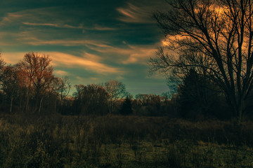 Fototapeta na wymiar A Dramatic Sky at Blue Hour Over an Autumn Field