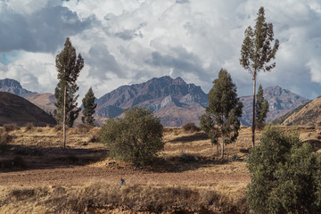 Mountain Peak Framed by Two Trees in Peru