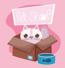 pet shop, cat in box with fish can food animal domestic cartoon