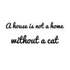 Cat quotes design illustration