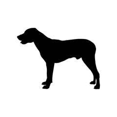 dog icon vector
