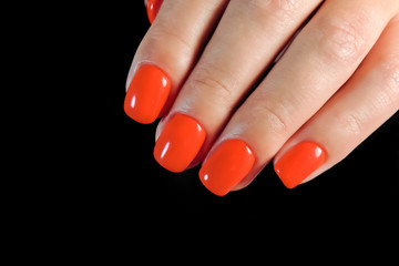 A young woman's hand on a black background with red gel Polish. Manicure.