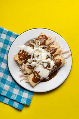 Mexican chicken enchiladas with mole sauce on yellow background
