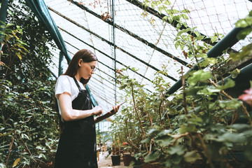 Young woman gardener in glasses and apron with digital tablet working in a garden center for better quality control. Environmentalist using digital tablet in greenhouse.