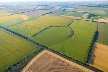 Aerial view to golden field with roll bales of wheat straw and sunflower field