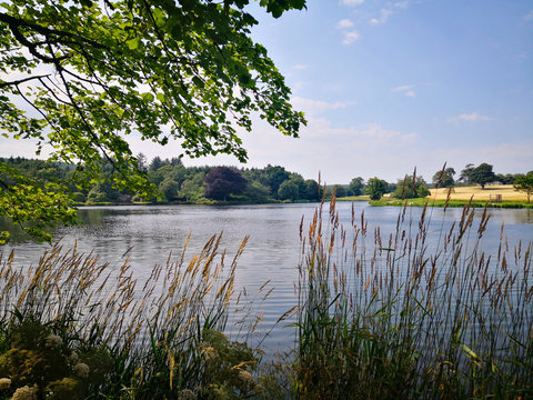 Pitfour Lake in Mintlaw on a sunny summer day.