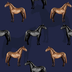 seamless background of realistic figures of horses, on a dark blue background for packaging, postcards, notebooks, fabrics