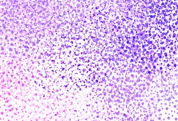 Light Purple vector background with bubbles.