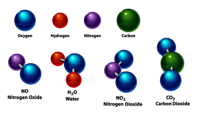 Elements and Compounds are compared in the molecular structure. Oxygen, hydrogen, nitrogen, and carbon are combined as nitrogen oxide, nitrogen dioxide, water H2O, and carbon dioxide.
