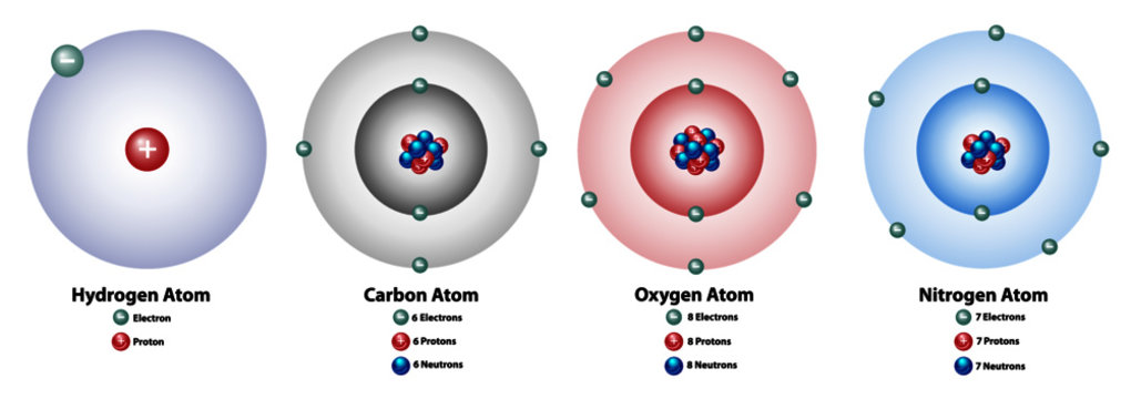 Atomic elements showing the nucleus and shells, numbers of electrons, protons, and neutrons. Hydrogen, carbon, oxygen, and nitrogen.