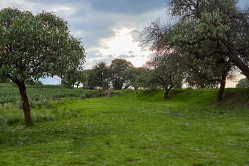 Atardecer en el campo