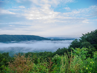 Obraz premium fog in the valley below a scenic overlook along the skyway motorway in the talladega national forest, alabama, usa