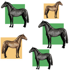  background of realistic figures of horses, on a white background for packaging, postcards, notebooks, fabrics