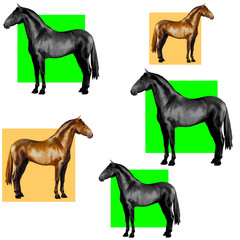 background of realistic figures of horses, on a white background for packaging, postcards, notebooks, fabrics